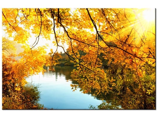 Obraz, Jesienne słońce nad rzeką, 120x80 cm Oobrazy