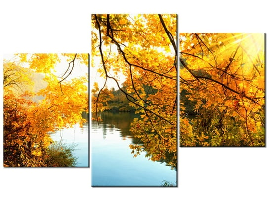 Obraz Jesienne słońce nad rzeką, 3 elementy, 90x60 cm Oobrazy