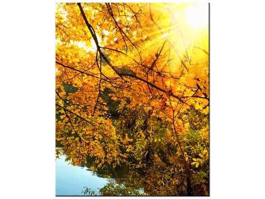 Obraz Jesienne słońce nad rzeką, 60x75 cm Oobrazy
