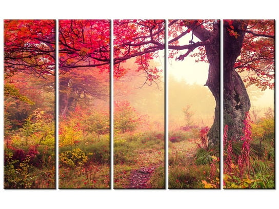 Obraz Jesienny kraj, 5 elementów, 100x63 cm Oobrazy