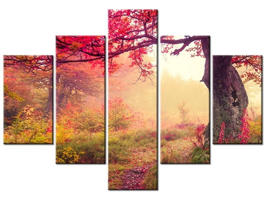 Obraz Jesienny kraj, 5 elementów, 100x70 cm Oobrazy