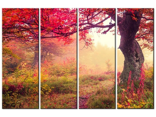 Obraz Jesienny kraj4 elementy, 120x80 cm Oobrazy