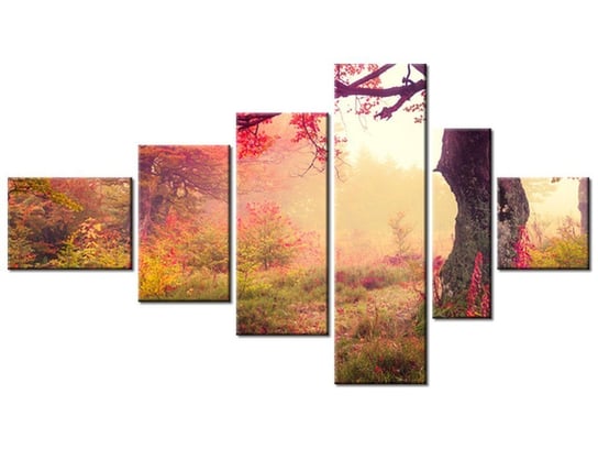 Obraz Jesienny kraj6 elementów, 180x100 cm Oobrazy
