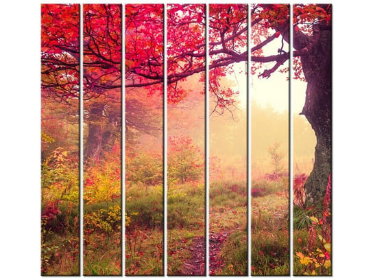 Obraz Jesienny kraj7 elementów, 210x195 cm Oobrazy