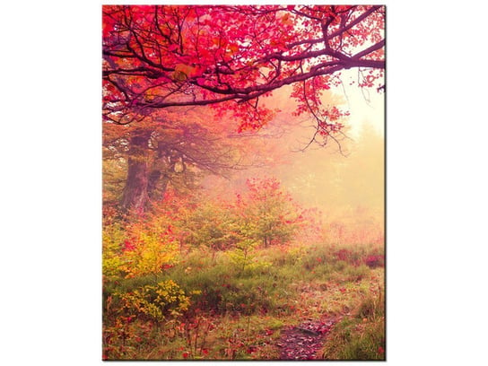 Obraz, Jesienny krajobraz, 40x50 cm Oobrazy