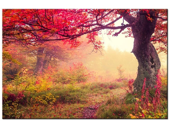 Obraz Jesienny krajobraz, 90x60 cm Oobrazy