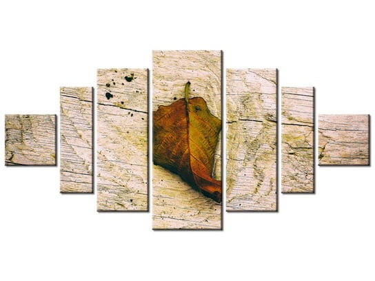 Obraz Jesienny liść - Jenny Downing, 7 elementów, 200x100 cm Oobrazy