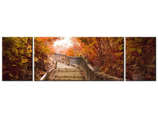 Obraz Jesienny spacer, 3 elementy, 170x50 cm Oobrazy