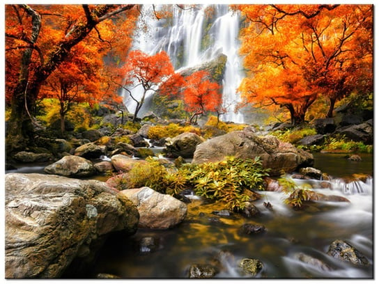 Obraz Jesienny wodospad, 40x30 cm Oobrazy
