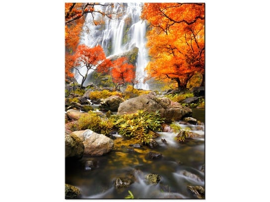 Obraz Jesienny wodospad, 50x70 cm Oobrazy