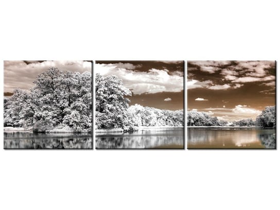 Obraz Jezioro pośrodku lasu, 3 elementy, 150x50 cm Oobrazy