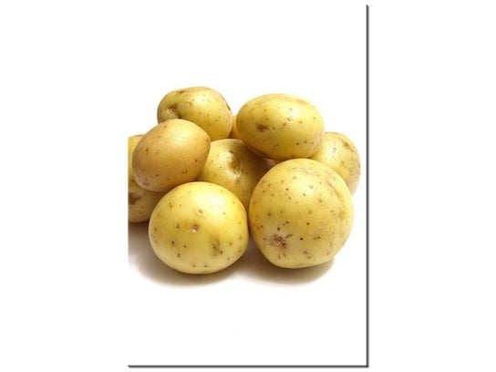 Obraz Kartofle, 20x30 cm Oobrazy