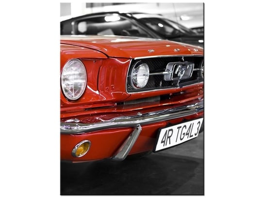 Obraz Klasyczny Mustang, 30x40 cm Oobrazy