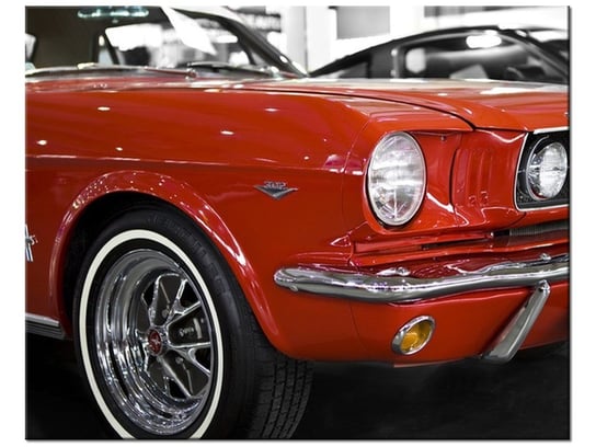 Obraz Klasyczny Mustang, 50x40 cm Oobrazy