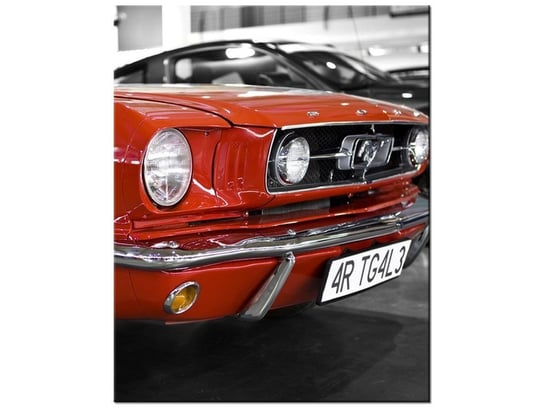 Obraz Klasyczny Mustang, 60x75 cm Oobrazy