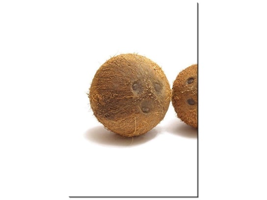 Obraz Kokosy, 20x30 cm Oobrazy