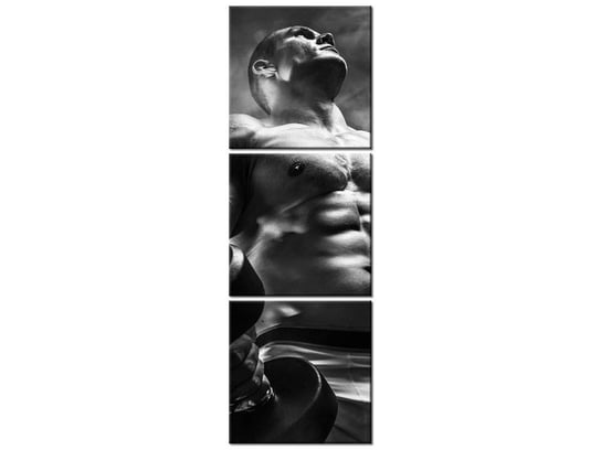 Obraz Kolega z podwórka black and white, 3 elementy, 30x90 cm Oobrazy