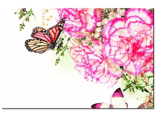 Obraz Kolorowe motylki, 120x80 cm Oobrazy