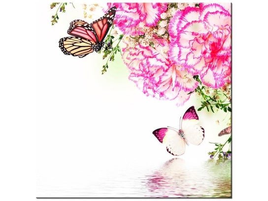 Obraz Kolorowe motylki, 50x50 cm Oobrazy
