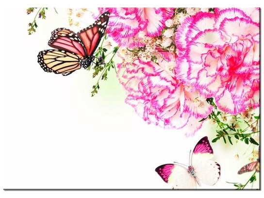 Obraz Kolorowe motylki, 70x50 cm Oobrazy