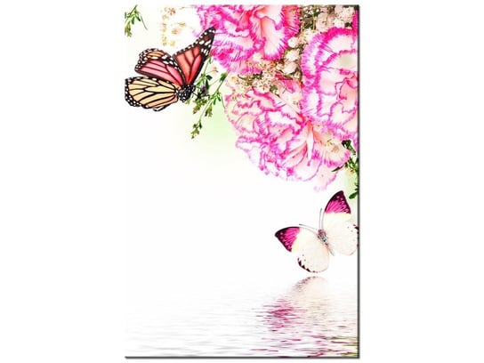 Obraz Kolorowe motylki, 80x120 cm Oobrazy