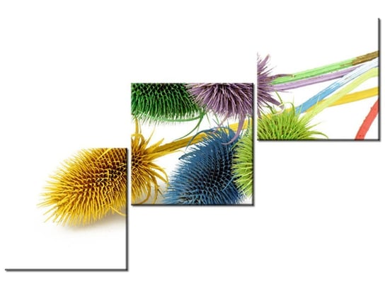 Obraz Kolorowy oset, 3 elementy, 120x80 cm Oobrazy