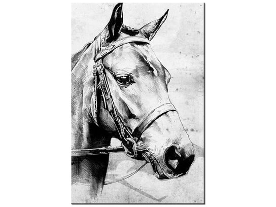 Obraz Koń, 20x30 cm Oobrazy