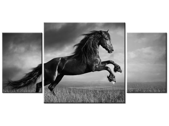 Obraz Koń, 3 elementy, 80x40 cm Oobrazy