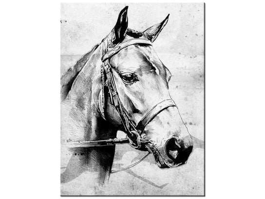 Obraz Koń, 30x40 cm Oobrazy