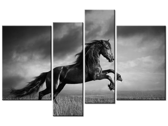 Obraz Koń, 4 elementy, 130x85 cm Oobrazy