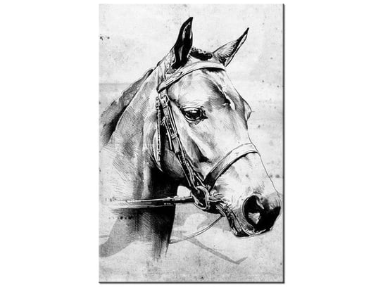 Obraz Koń, 40x60 cm Oobrazy