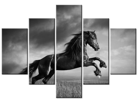 Obraz Koń, 5 elementów, 100x70 cm Oobrazy