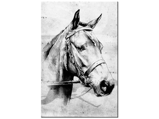 Obraz, Koń, 60x90 cm Oobrazy