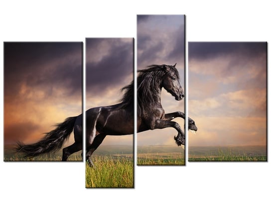 Obraz Koń staje dęba, 4 elementy, 130x85 cm Oobrazy