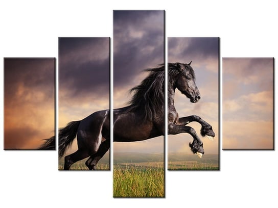 Obraz, Koń staje dęba, 5 elementów, 100x70 cm Oobrazy