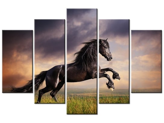 Obraz, Koń staje dęba, 5 elementów, 150x100 cm Oobrazy