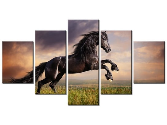 Obraz, Koń staje dęba, 5 elementów, 150x80 cm Oobrazy