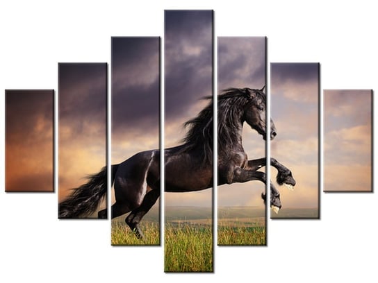 Obraz Koń staje dęba, 7 elementów, 210x150 cm Oobrazy