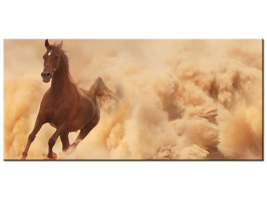 Obraz Koń w galopie, 115x55 cm Oobrazy