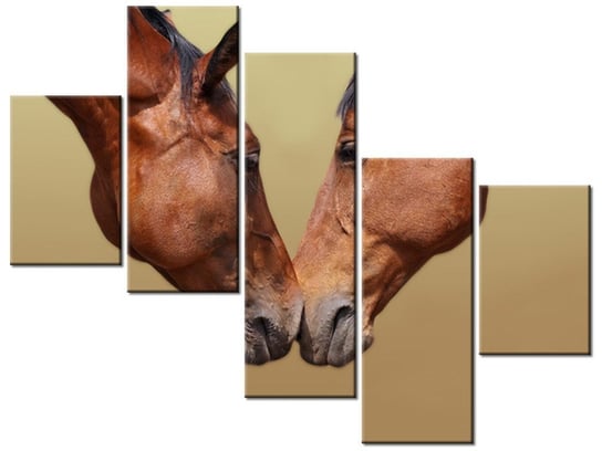 Obraz Konie, 5 elementów, 100x75 cm Oobrazy