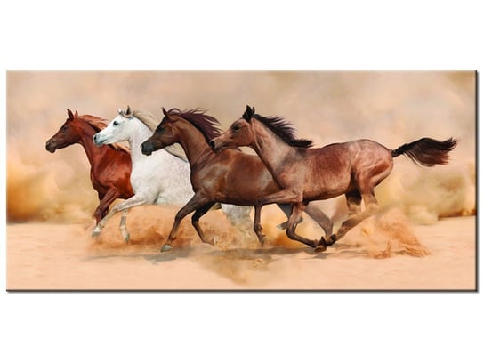 Obraz, Konie w galopie, 115x55 cm Oobrazy