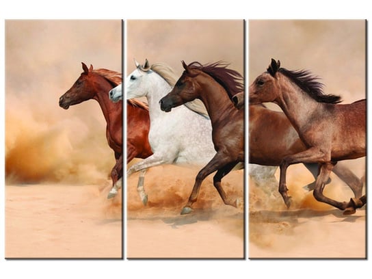 Obraz Konie w galopie, 3 elementy, 90x60 cm Oobrazy