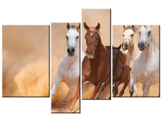 Obraz Konie w galopie, 4 elementy, 130x85 cm Oobrazy