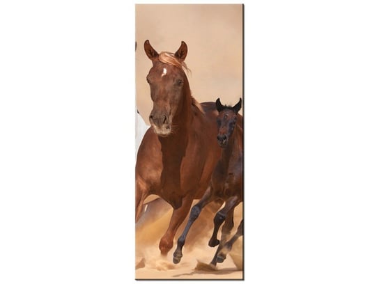 Obraz Konie w galopie, 40x100 cm Oobrazy