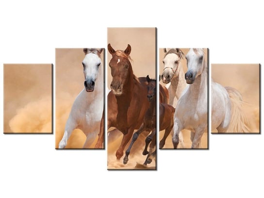Obraz, Konie w galopie, 5 elementów, 125x70 cm Oobrazy