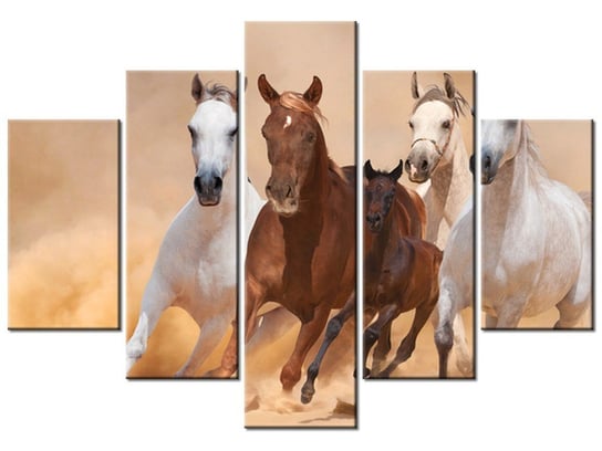 Obraz, Konie w galopie, 5 elementów, 150x105 cm Oobrazy