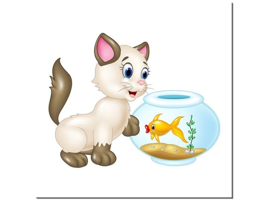 Obraz Kotek z akwarium, 40x40 cm Oobrazy