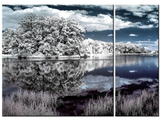 Obraz Krajobraz w podczerwieni, 2 elementy, 70x50 cm Oobrazy