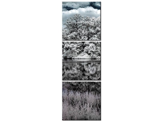 Obraz Krajobraz w podczerwieni, 3 elementy, 30x90 cm Oobrazy