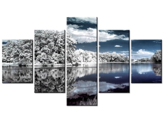 Obraz Krajobraz w podczerwieni, 5 elementów, 125x70 cm Oobrazy